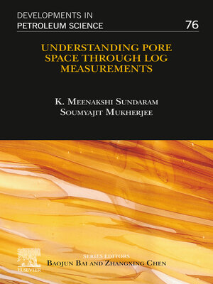 cover image of Understanding Pore Space through Log Measurements